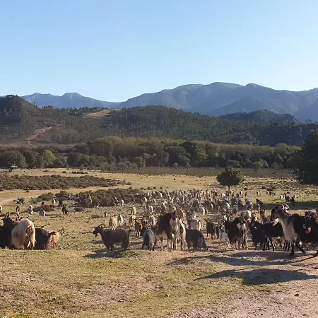 Pianotolu - Rez De Entre Et Montagne Σπίτι διακοπών