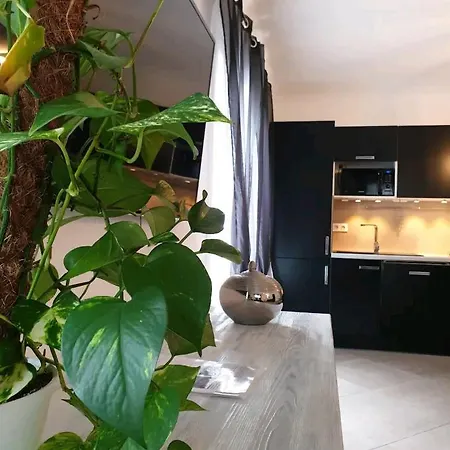 Hébergement de vacances Maison de vacances avec jardin