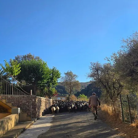 Pianotolu - Rez De Entre Et Montagne Σπίτι διακοπών Moltifao