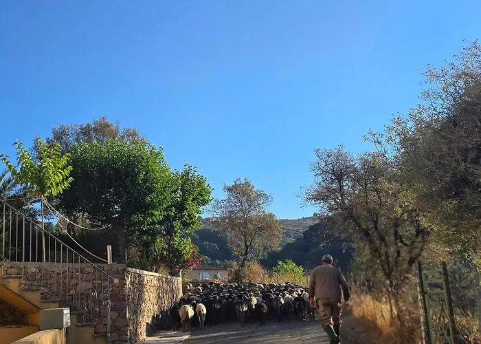 Pianotolu - Rez De Entre Et Montagne Vakantiehuis Moltifao